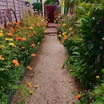 Alices Garden Two Campingplads