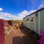 Campingplads Alices Garden Two York