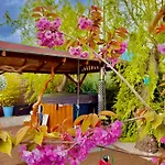 Alices Garden Two Campingplads York