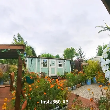 Alices Garden Two *