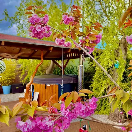 Alices Garden Two אתר קמפינג יורק