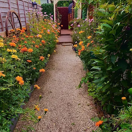 Alices Garden Two 营地