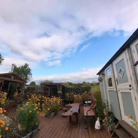 营地 Alices Garden Two 约克